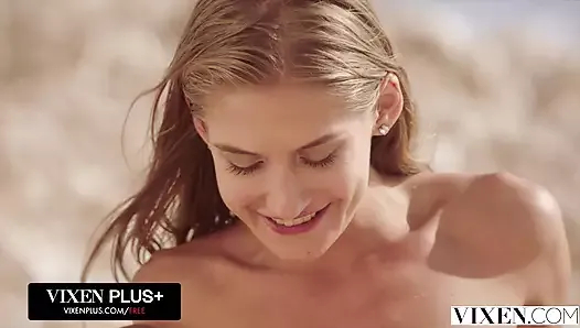 dört derleme vixen parti