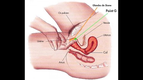 Femiyor fontaine hakkında yorum yapabilir misin? Yorum faire jouir ta copine ?