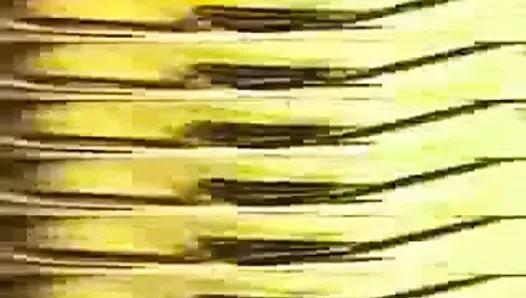 madonna - egzotik seks vid 1992 tam