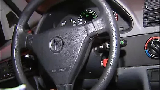 70 yaşındaki kadın, ev hanımı fahişe ve profesör