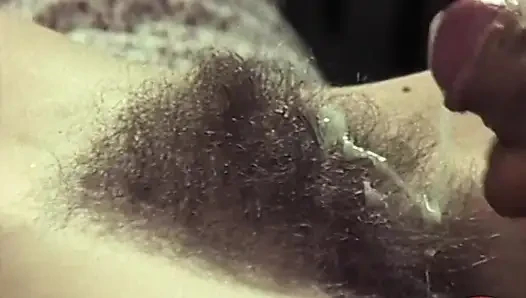 Tabu Film Klasiği: Eine Verdammt Heisse Braut (sikişiyor Olası Ateşli Bir Gelin) (bm)